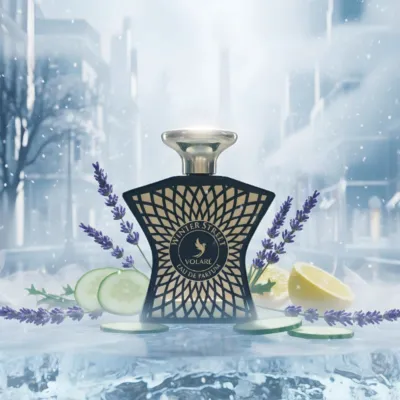 Volaré Winter Street EDP 100ml